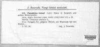 Phoma leonuri image